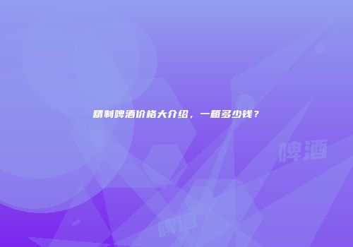 精制啤酒价格大介绍，一箱多少钱？