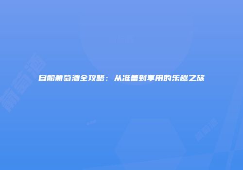 自酿葡萄酒全攻略：从准备到享用的乐趣之旅