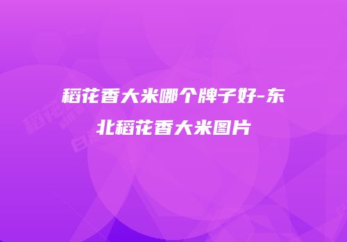 稻花香大米哪个牌子好-东北稻花香大米图片