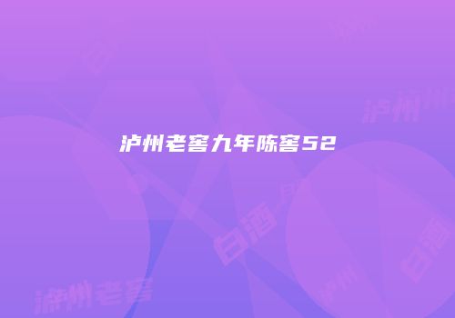 泸州老窖九年陈窖52