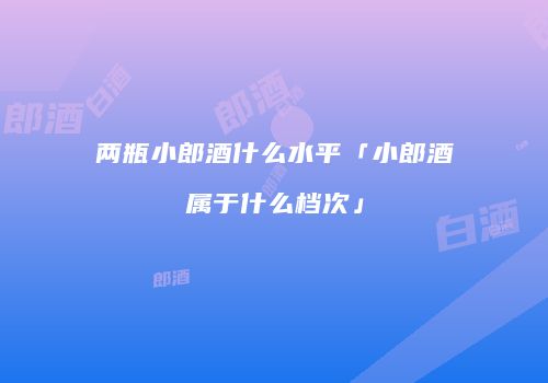两瓶小郎酒什么水平「小郎酒属于什么档次」