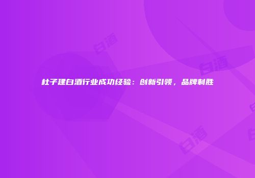 杜子建白酒行业成功经验：创新引领，品牌制胜