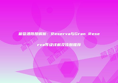葡萄酒陈酿解析：Reserva与Gran Reserva等级详解及佳酿推荐