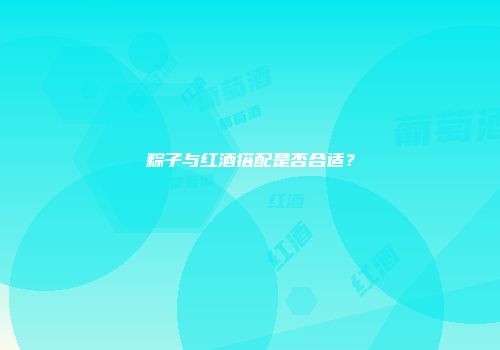 粽子与红酒搭配是否合适？