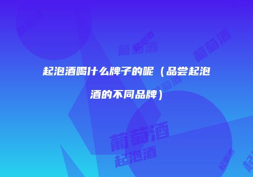 起泡酒喝什么牌子的呢（品尝起泡酒的不同品牌）