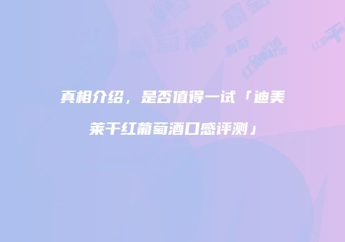 真相介绍，是否值得一试「迪美莱干红葡萄酒口感评测」
