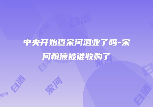 中央开始查宋河酒业了吗-宋河粮液被谁收购了