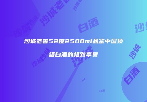沙城老窖52度2500ml品鉴中国顶级白酒的极致享受