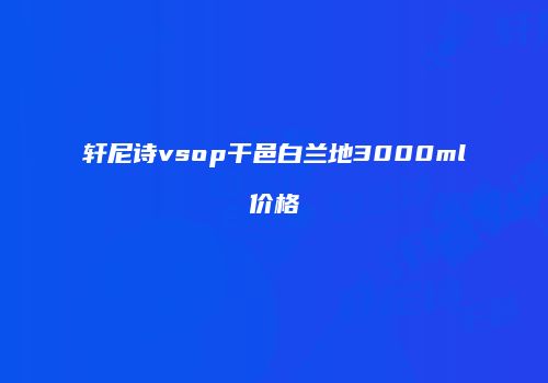 轩尼诗vsop干邑白兰地3000ml价格