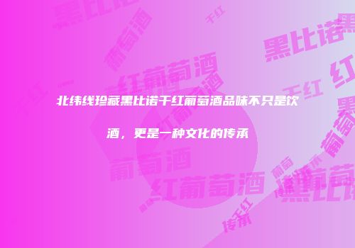 北纬线珍藏黑比诺干红葡萄酒品味不只是饮酒，更是一种文化的传承