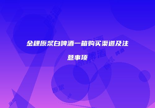 金稞原浆白啤酒一箱购买渠道及注意事项