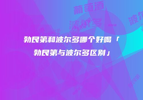 勃艮第和波尔多哪个好喝「勃艮第与波尔多区别」