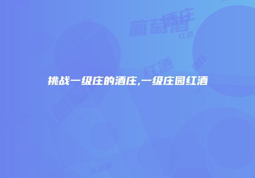 挑战一级庄的酒庄,一级庄园红酒