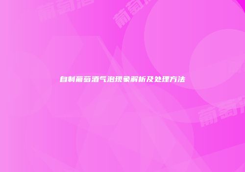 自制葡萄酒气泡现象解析及处理方法