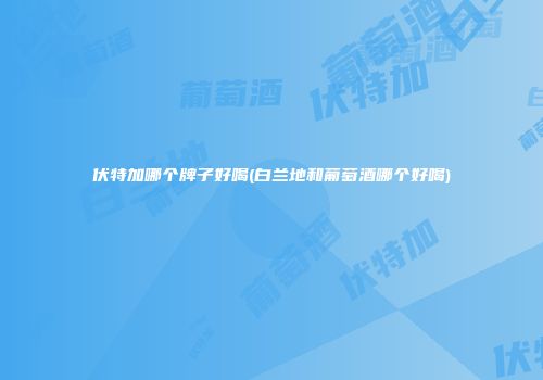伏特加哪个牌子好喝(白兰地和葡萄酒哪个好喝)