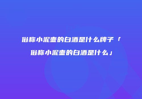 俗称小泥壶的白酒是什么牌子「俗称小泥壶的白酒是什么」