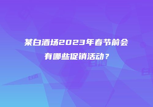 某白酒场2023年春节前会有哪些促销活动？