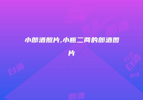 小郎酒照片,小瓶二两的郎酒图片