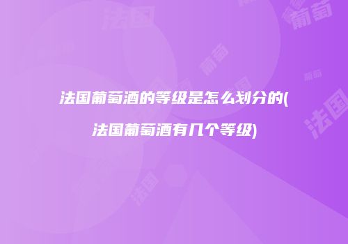 法国葡萄酒的等级是怎么划分的(法国葡萄酒有几个等级)