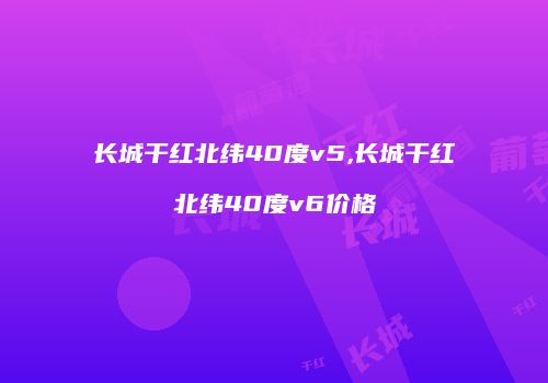 长城干红北纬40度v5,长城干红北纬40度v6价格