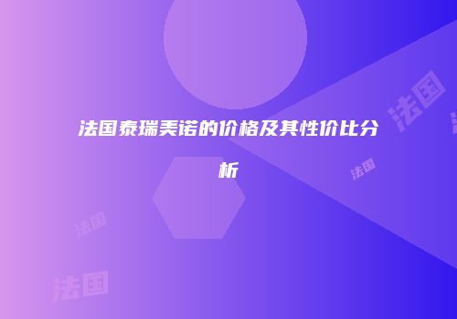 法国泰瑞美诺的价格及其性价比分析
