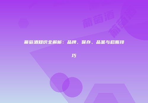 葡萄酒知识全解析：品牌、保存、品鉴与启瓶技巧