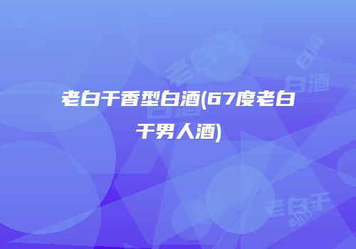 老白干香型白酒(67度老白干男人酒)