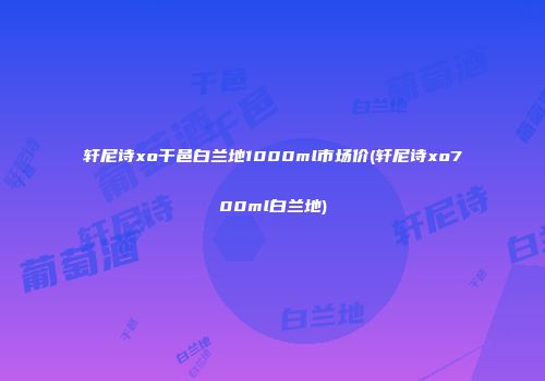 轩尼诗xo干邑白兰地1000ml市场价(轩尼诗xo700ml白兰地)