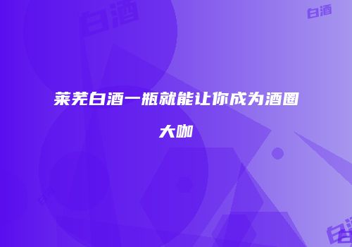 莱芜白酒一瓶就能让你成为酒圈大咖
