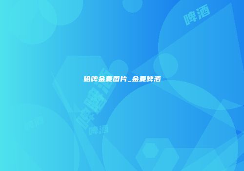 哈啤金麦图片_金麦啤酒