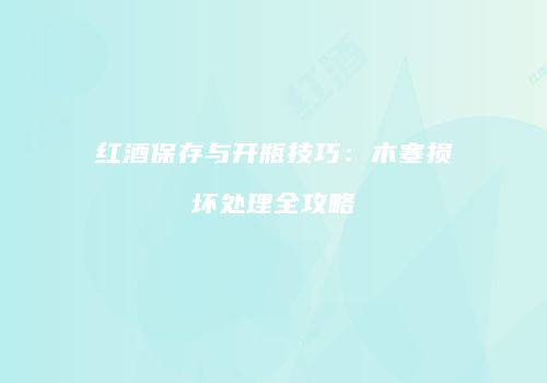 红酒保存与开瓶技巧：木塞损坏处理全攻略