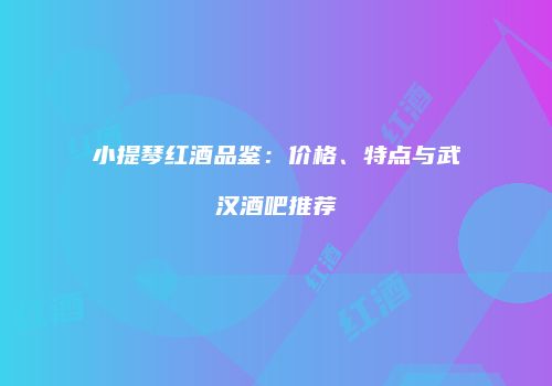 小提琴红酒品鉴：价格、特点与武汉酒吧推荐
