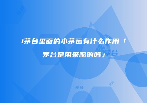 i茅台里面的小茅运有什么作用「茅台是用来喝的吗」