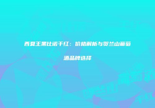 西夏王黑比诺干红：价格解析与贺兰山葡萄酒品牌选择