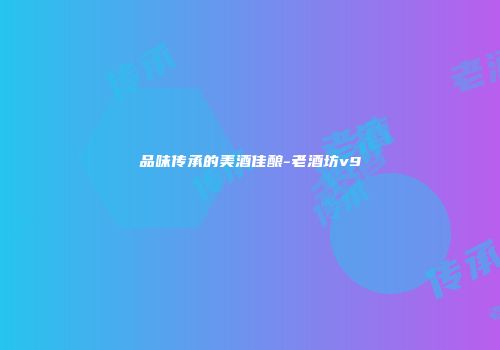 品味传承的美酒佳酿-老酒坊v9