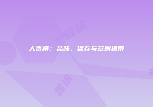 大香槟：品味、保存与鉴别指南