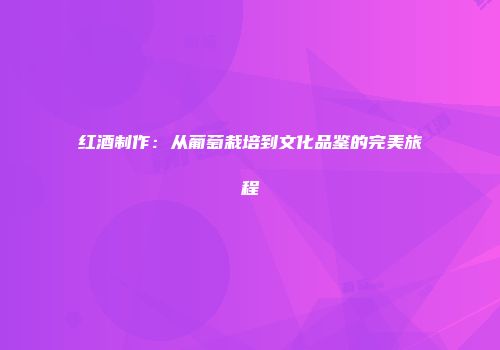 红酒制作：从葡萄栽培到文化品鉴的完美旅程