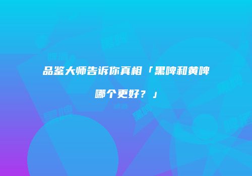 品鉴大师告诉你真相「黑啤和黄啤哪个更好？」