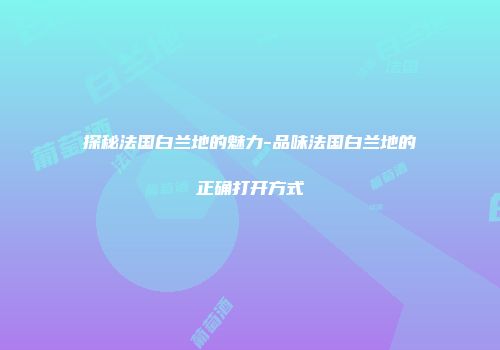 探秘法国白兰地的魅力-品味法国白兰地的正确打开方式