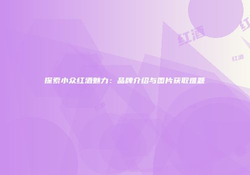 探索小众红酒魅力：品牌介绍与图片获取难题
