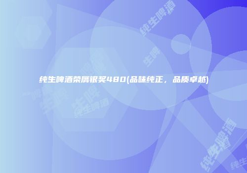 纯生啤酒荣膺银奖480(品味纯正，品质卓越)