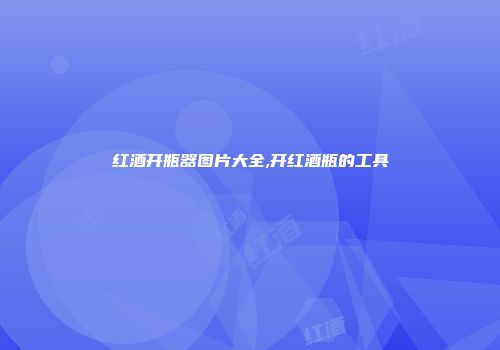红酒开瓶器图片大全,开红酒瓶的工具