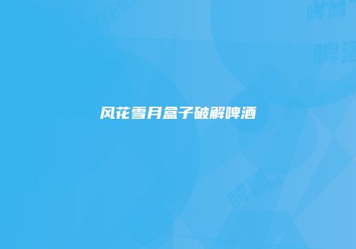 风花雪月盒子破解啤酒