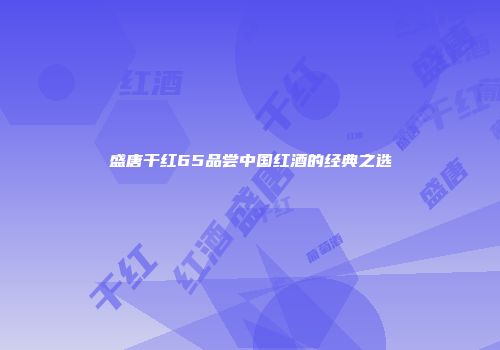 盛唐干红65品尝中国红酒的经典之选
