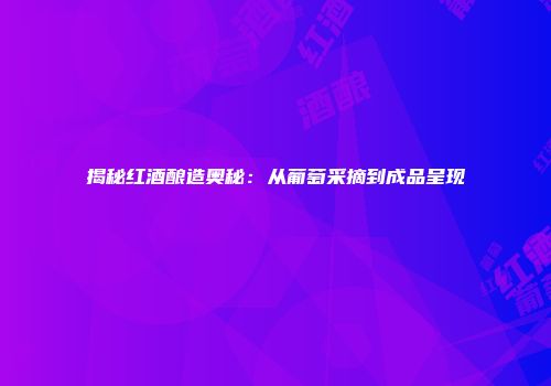 揭秘红酒酿造奥秘：从葡萄采摘到成品呈现