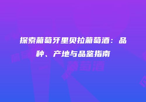 探索葡萄牙里贝拉葡萄酒：品种、产地与品鉴指南