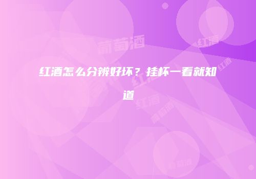 红酒怎么分辨好坏？挂杯一看就知道