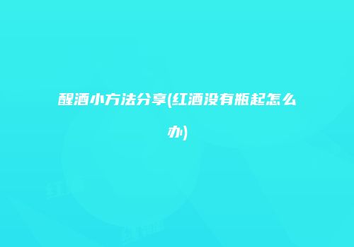 醒酒小方法分享(红酒没有瓶起怎么办)