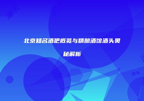 北京知名酒吧概览与精酿酒馆酒头奥秘解析