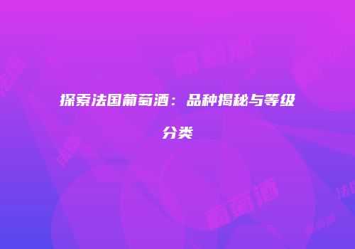 探索法国葡萄酒：品种揭秘与等级分类